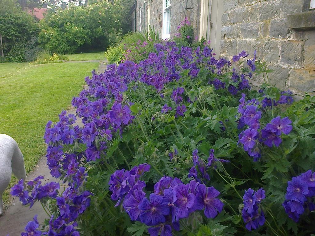 Barmoors Bed & Breakfast Lastingham Exterior photo